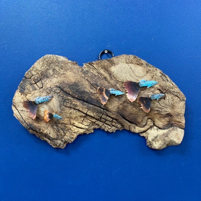 (새상품) 열대어 벽 장식