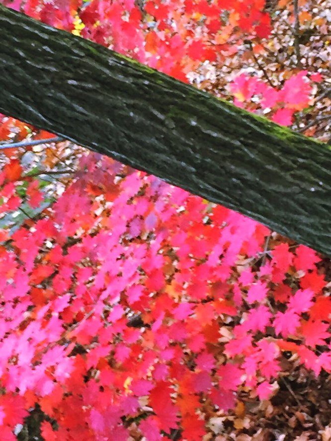 원목슈퍼싱글침대