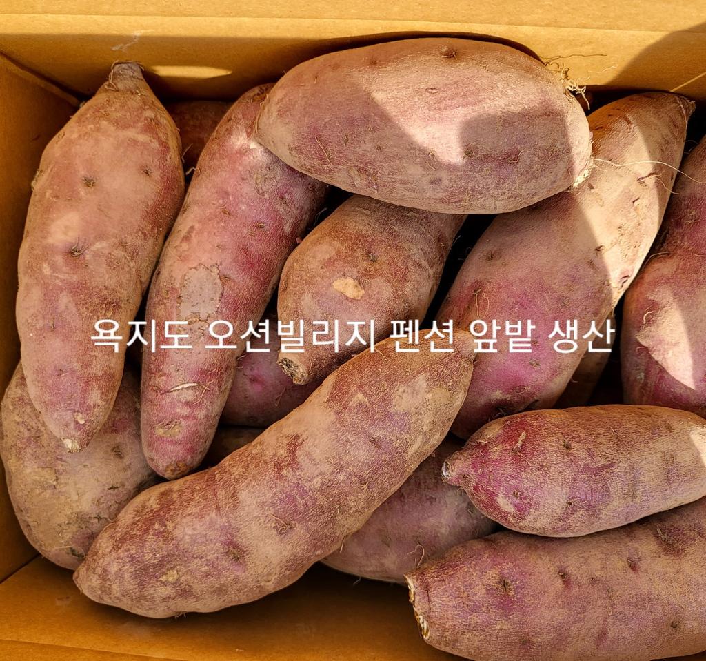 남해 여행과 고구마똥빵 체험