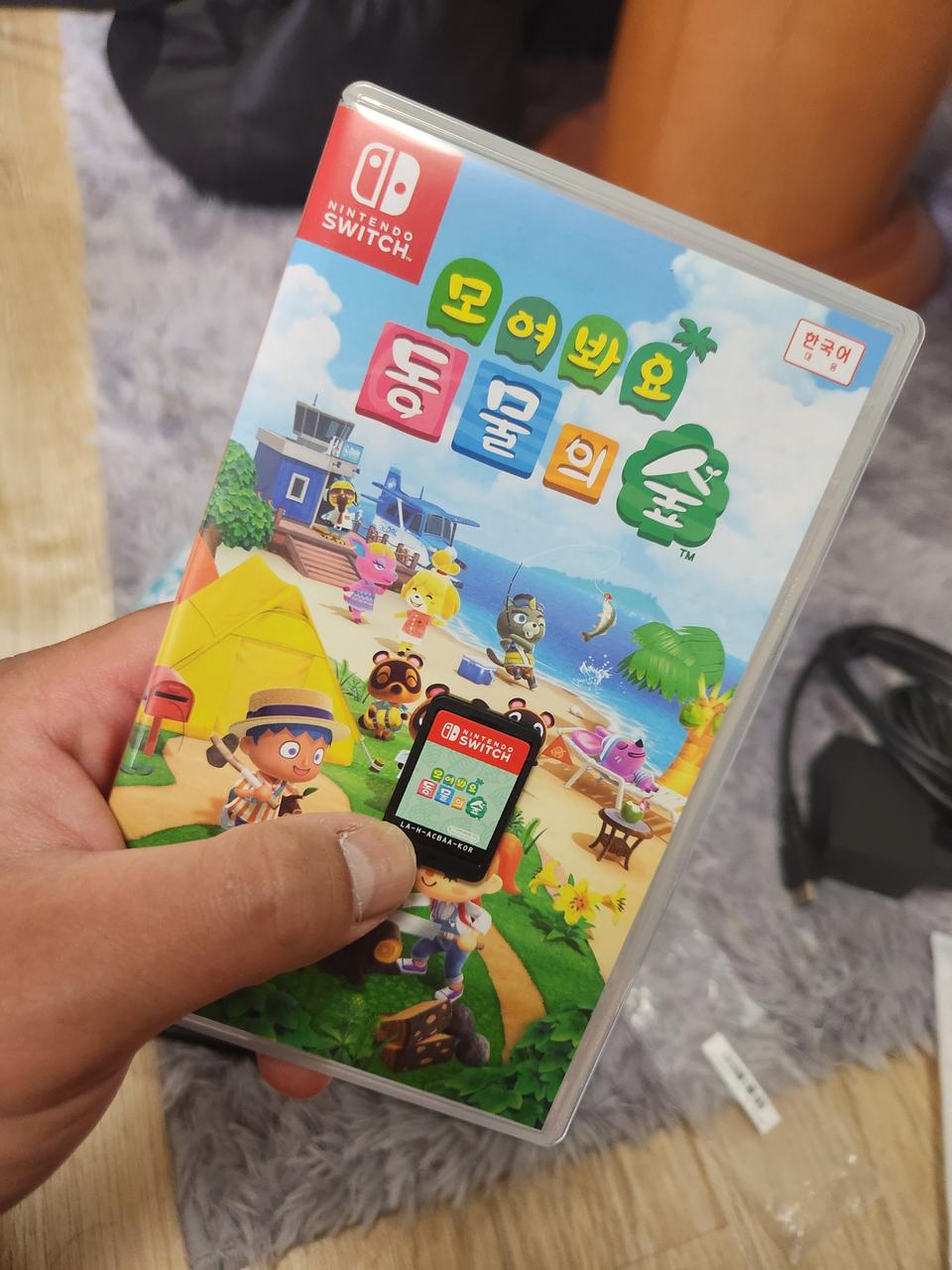 닌텐도 동물의 숲 게임칩