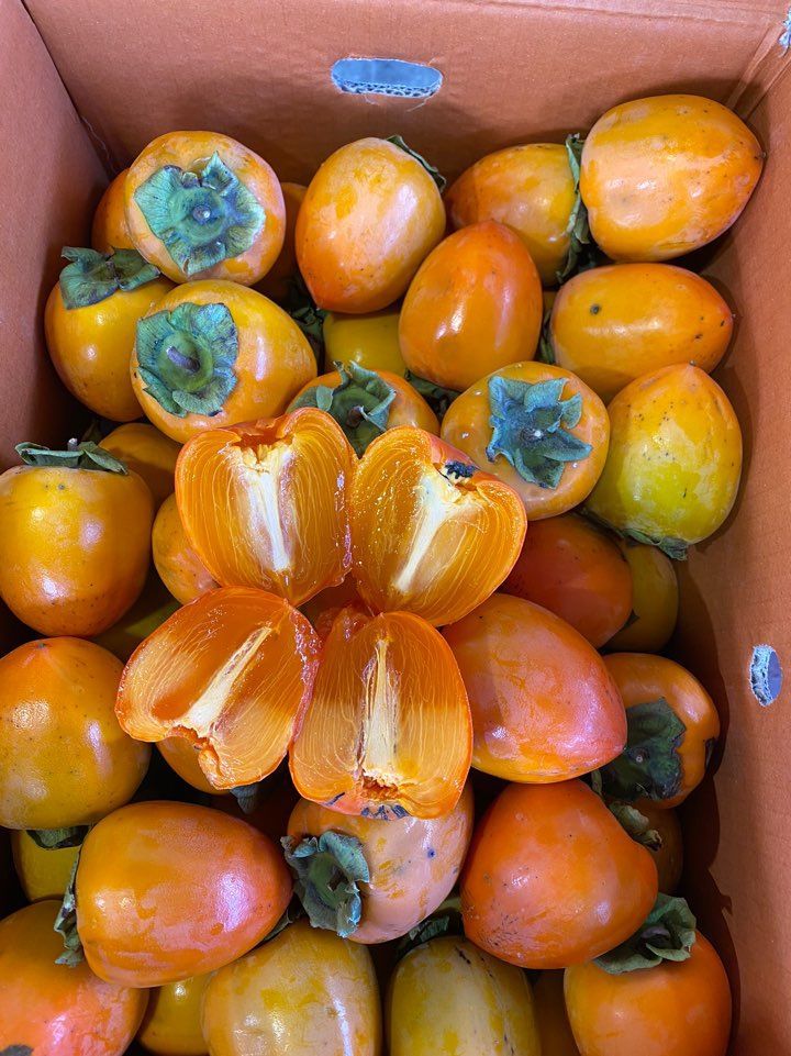 대봉감 판매합니다