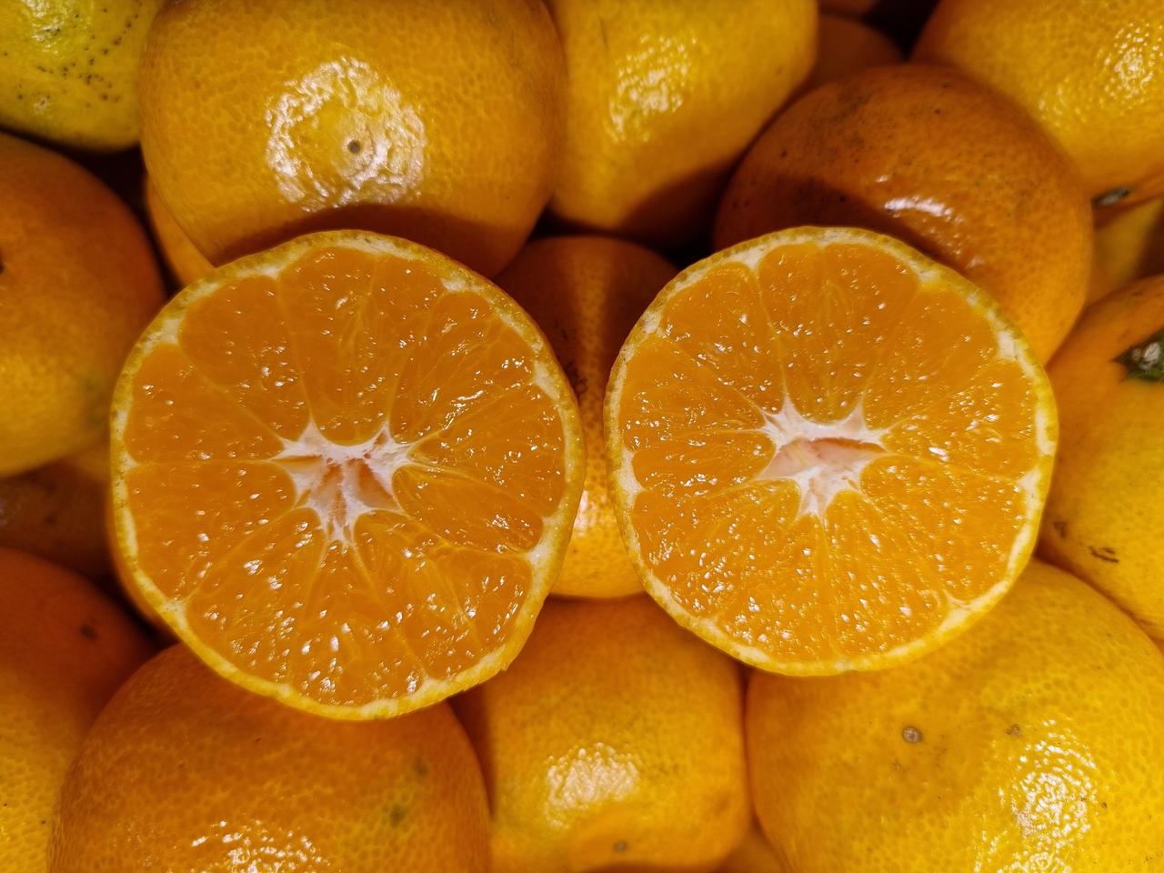 맛있는  노지감귤kg