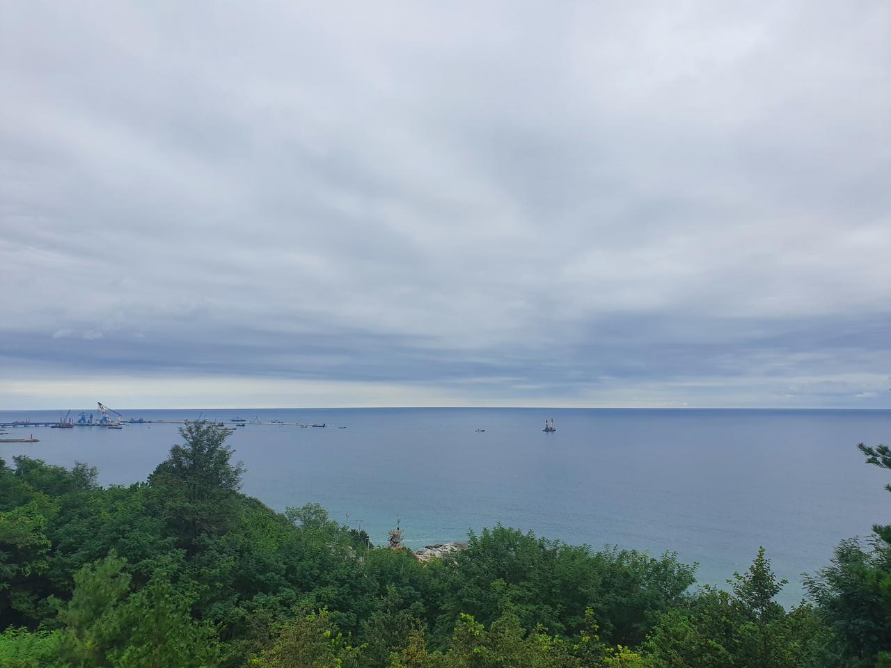 강릉 사회인야구