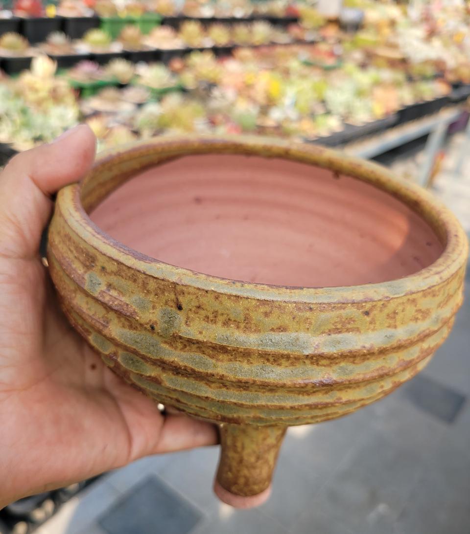 다육 화분 새상품 할인판매