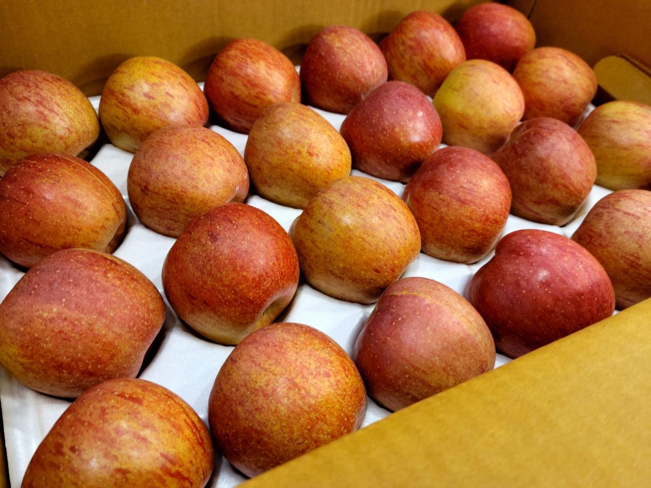 한정판매 맛있는 햇부사 10kg 중과