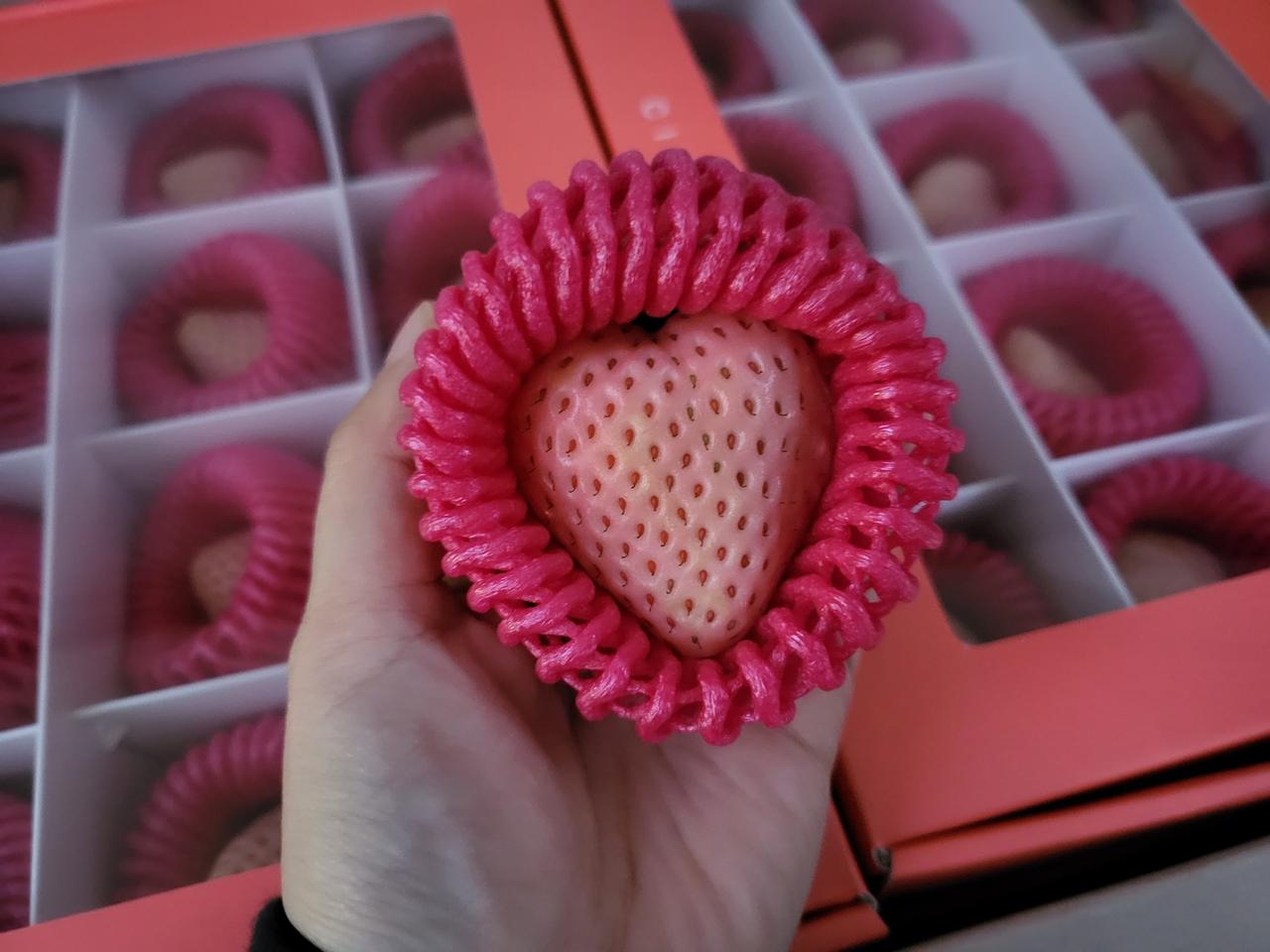 연말특가 명품딸기 만년설 600g 무료배송