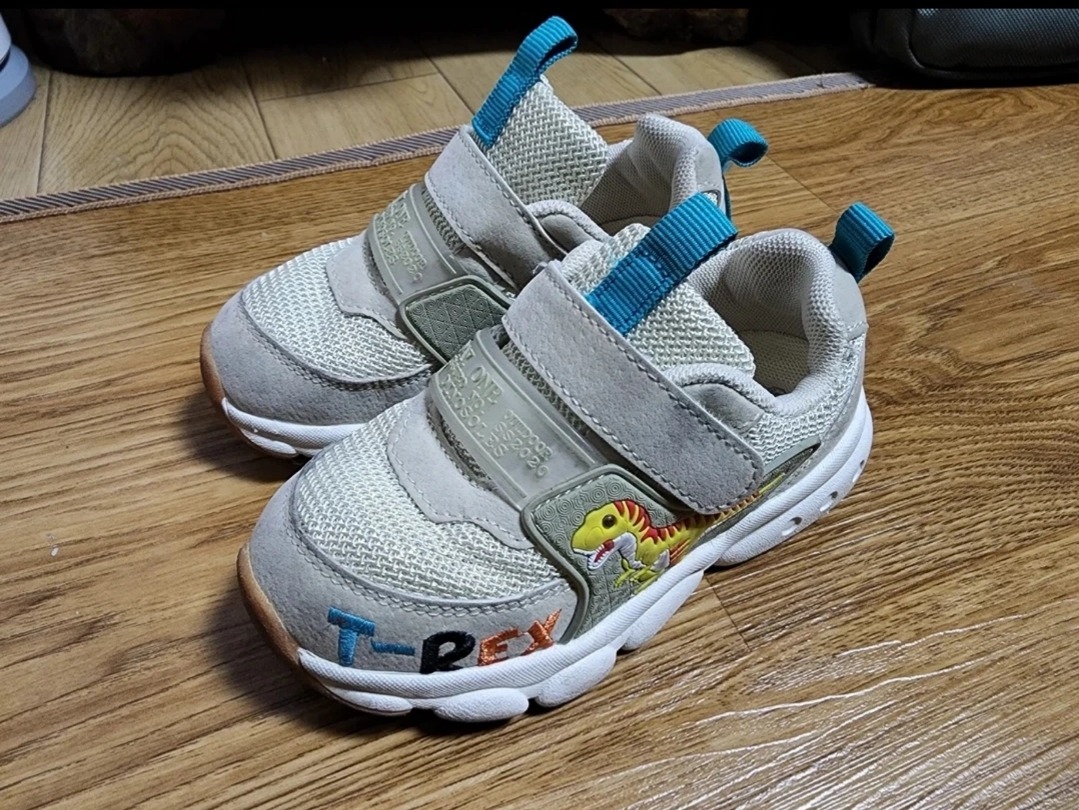 토박스다이노솔져