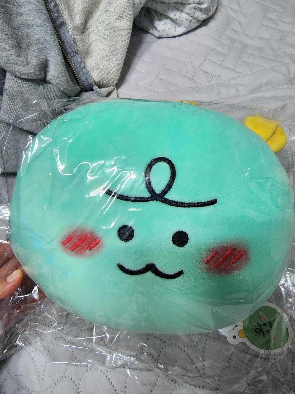 죠르디 얼굴 쿠션