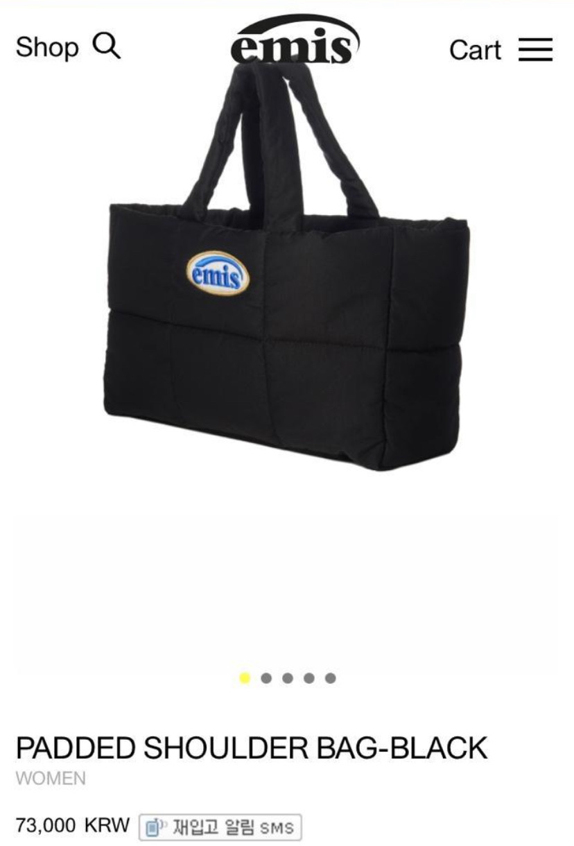 이미스 패딩백