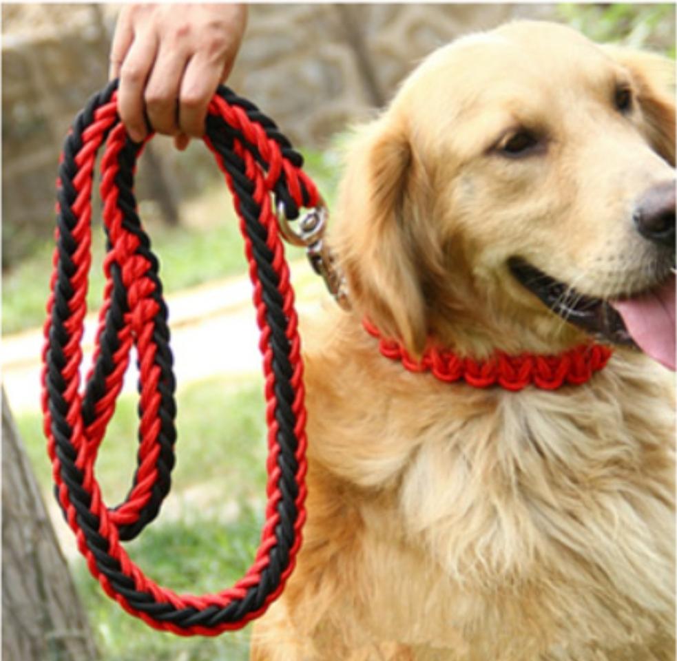 애완 목줄 대형