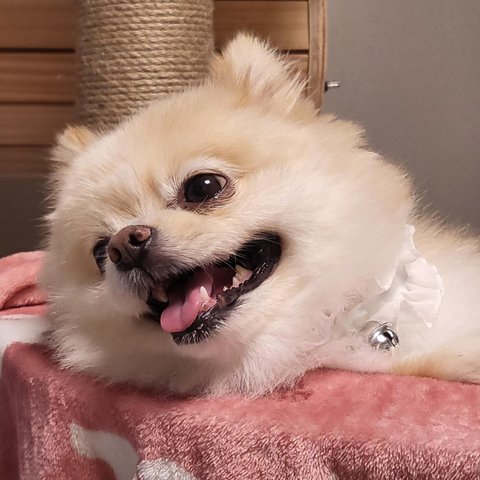 영대표의 프로필 이미지
