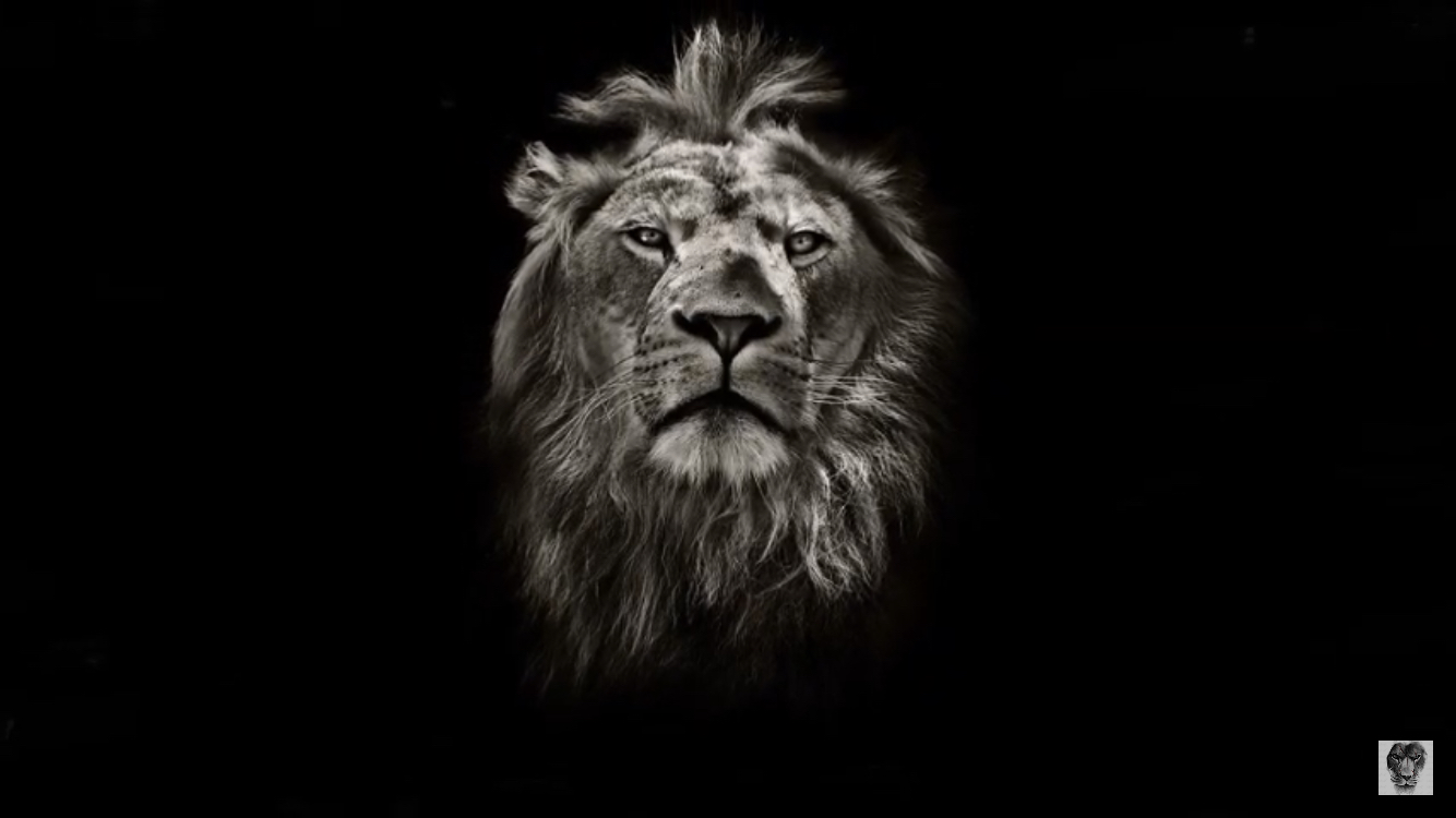 profileImg