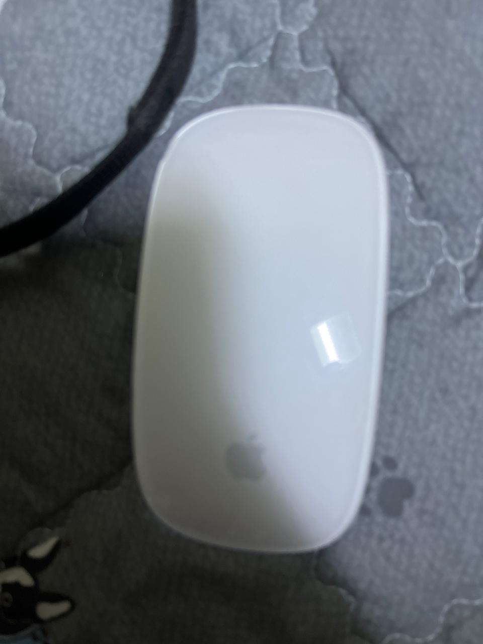 애플매직마우스2