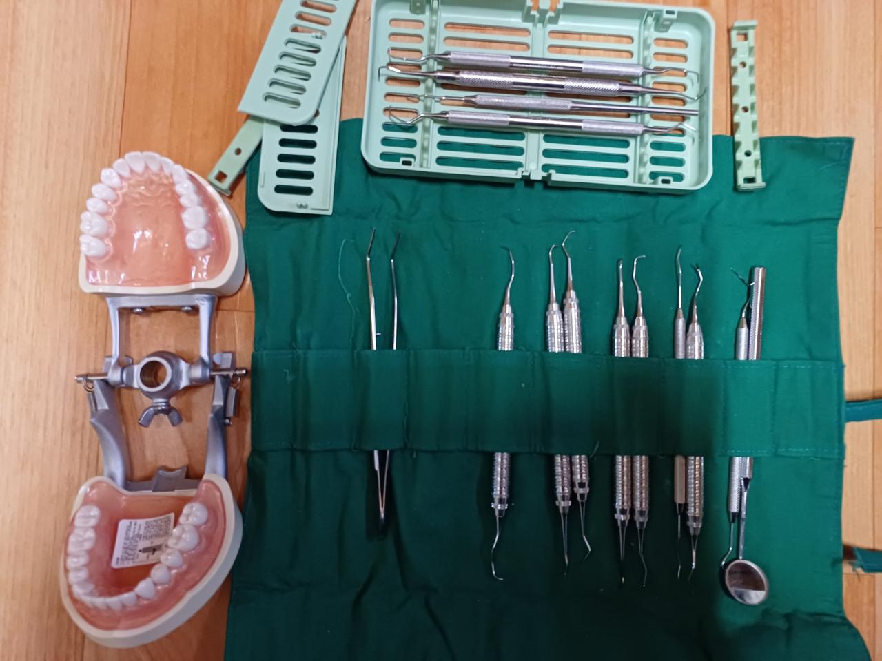 치과위생사 준비의 모든것 가격내림