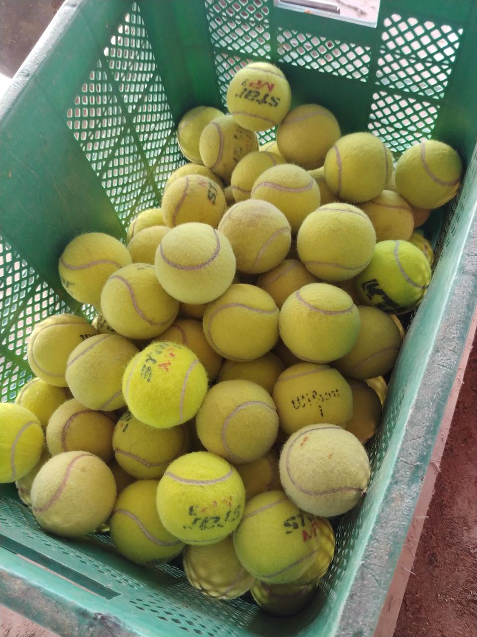 테니스공86개개