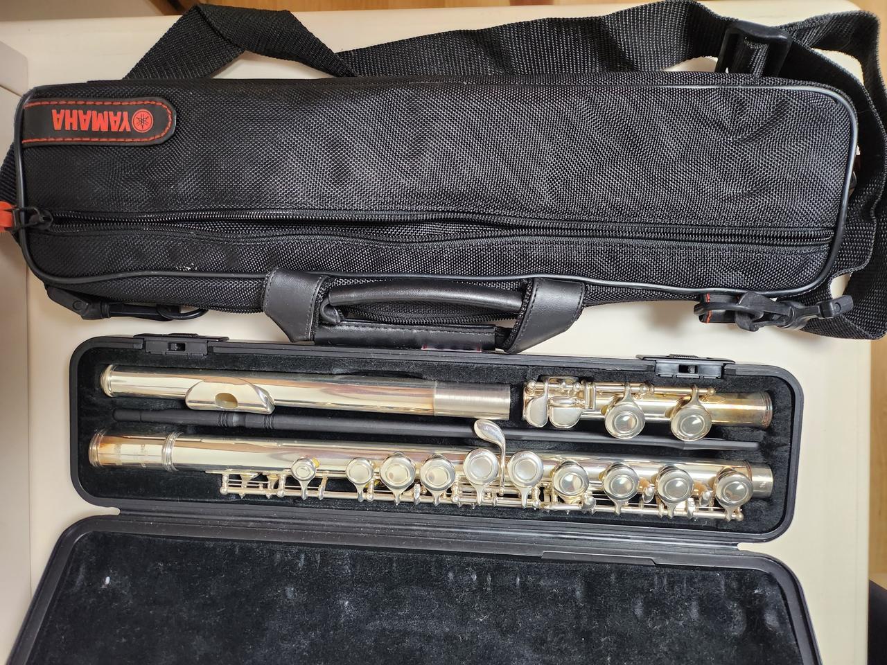 야마하 플릇 221