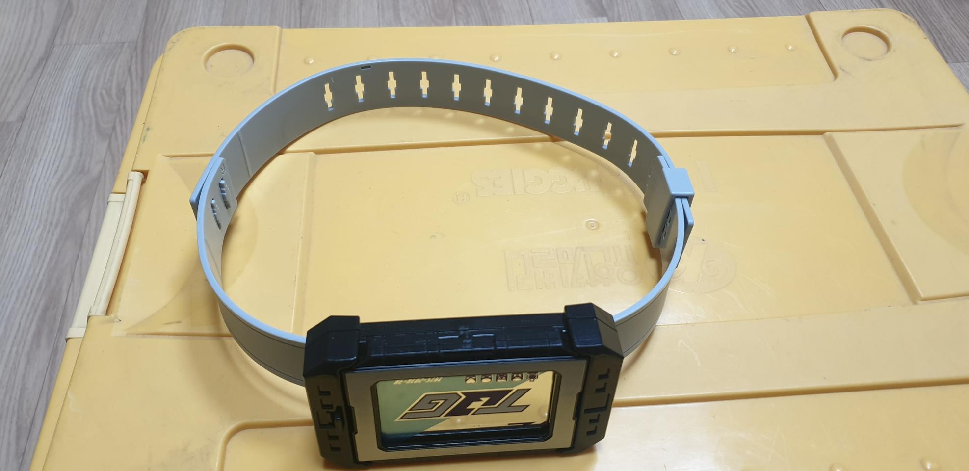 트레인포스 벨트(트레인버클)