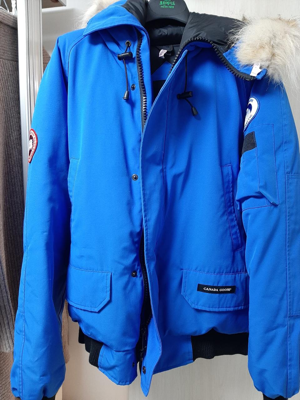 북극곰 캐나나구스