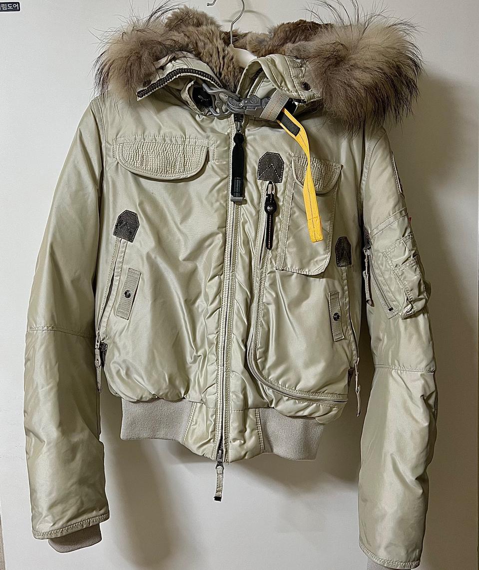 파라점퍼스 고비