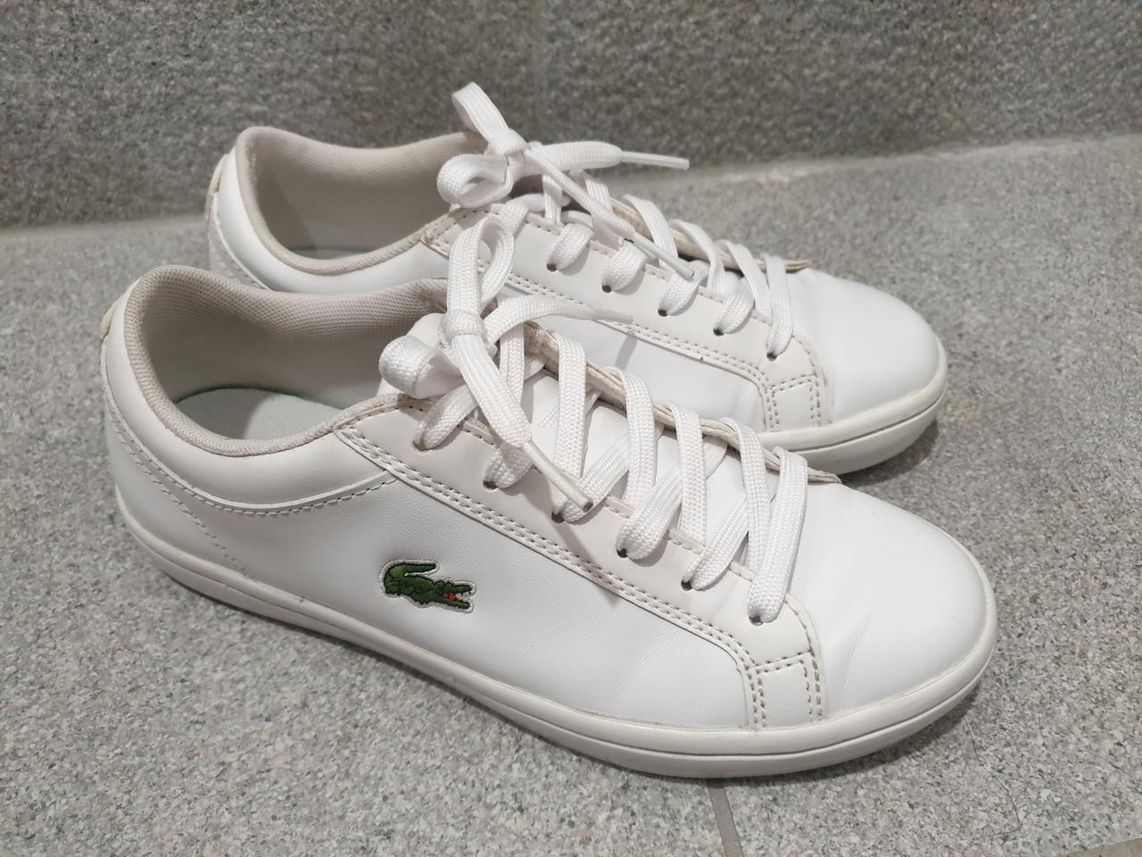 라코스테 스니커즈 운동화 220