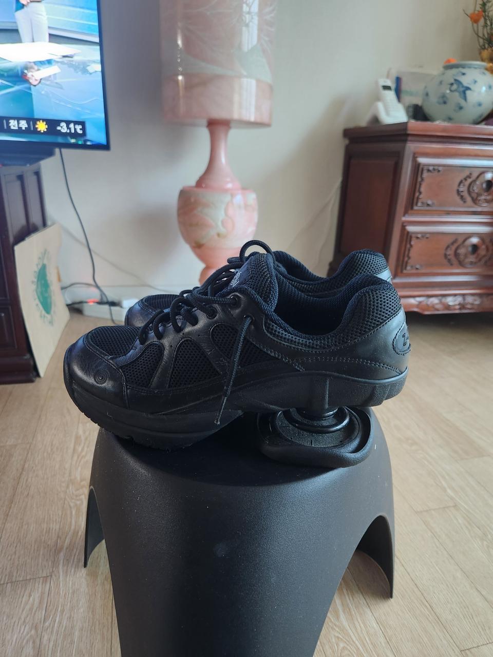 지코일 허리 다리 요통개선 zcoil 여성 legend 245