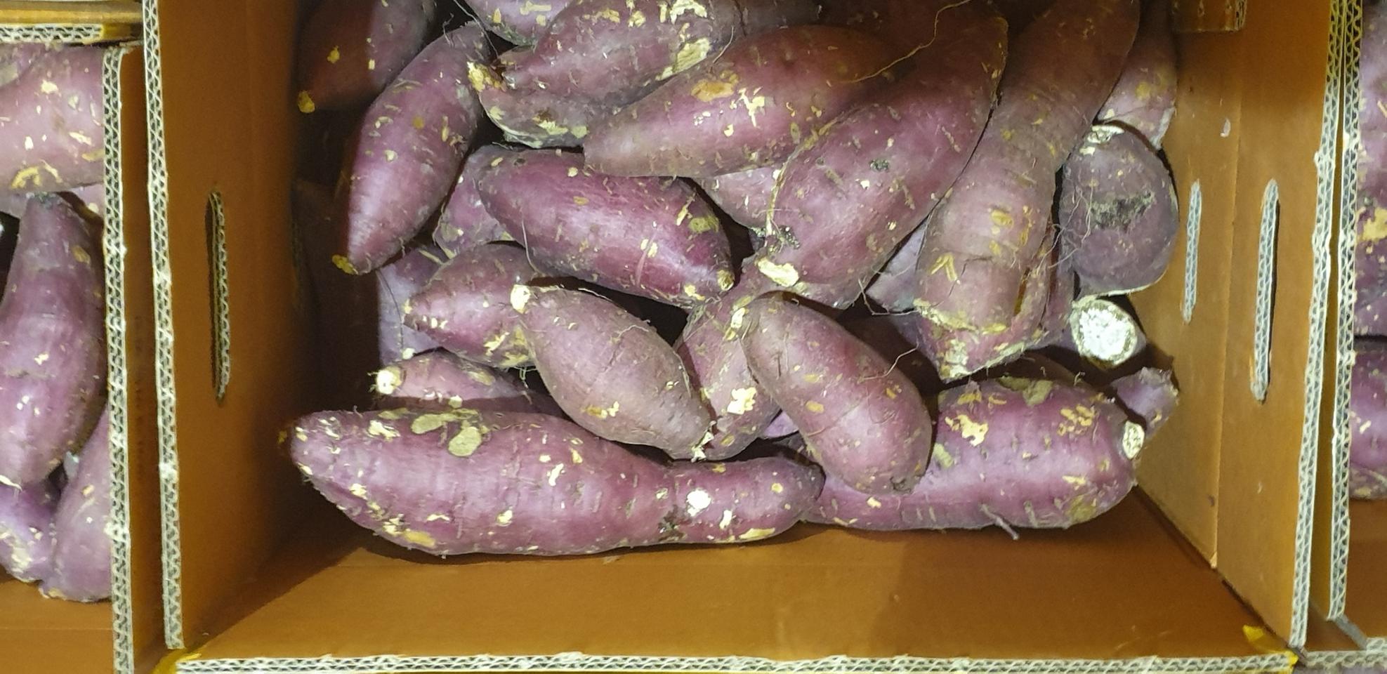 꿀고구마 10키로 무료배송 세척 비품