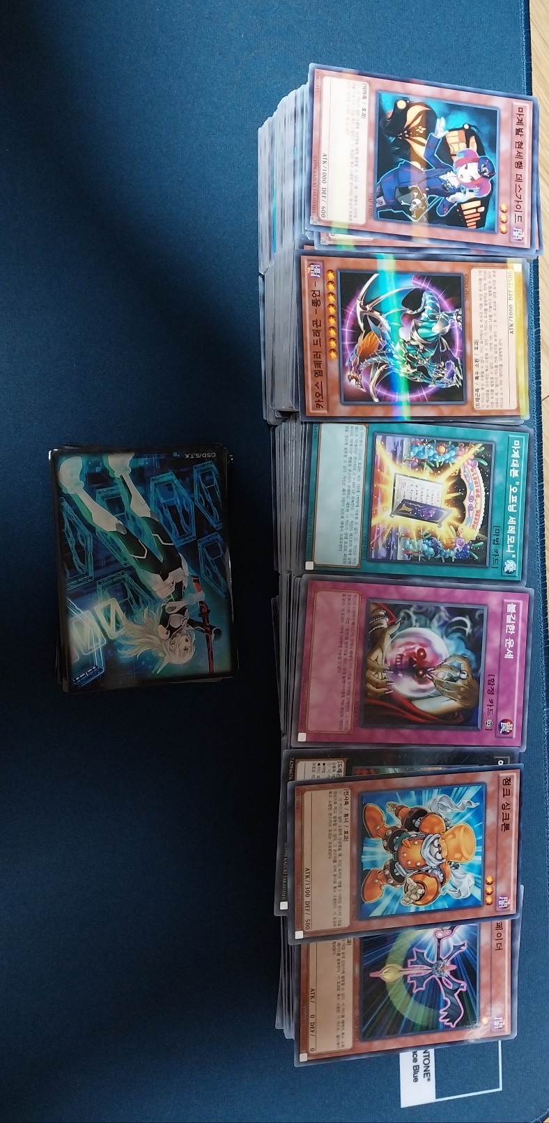 유희왕 카드 1013장