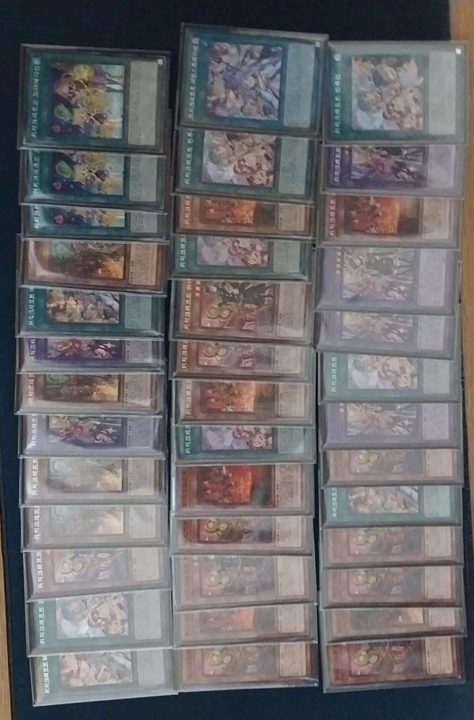 유희왕 카드 위치크레프트