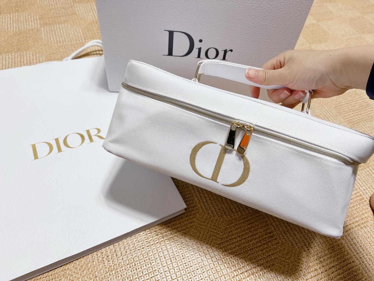 디올 빅 파우치 새것