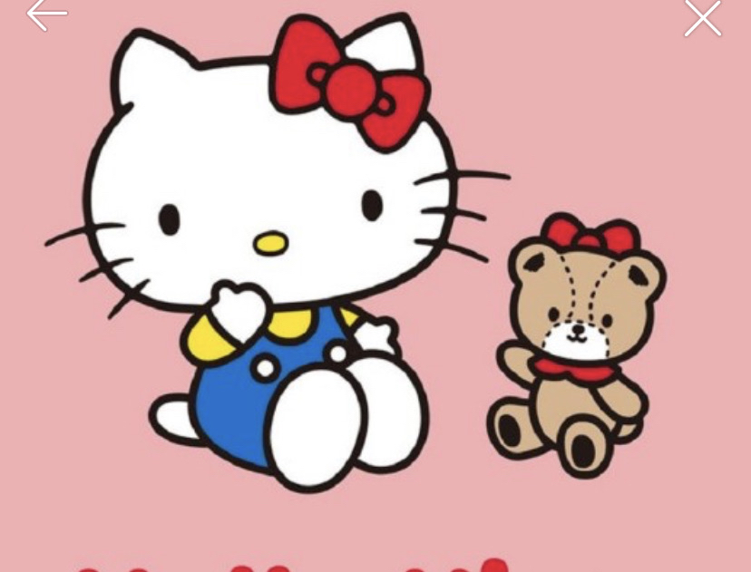 로베르타 디까메리오 지퍼브라-새상품