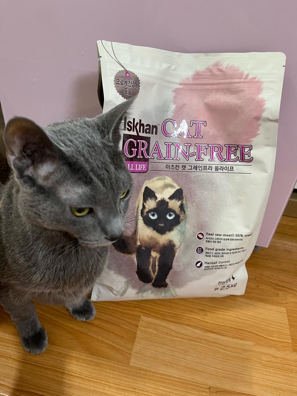 고양이 사료 이즈칸 캣 미개봉 새 상품 판매합니다