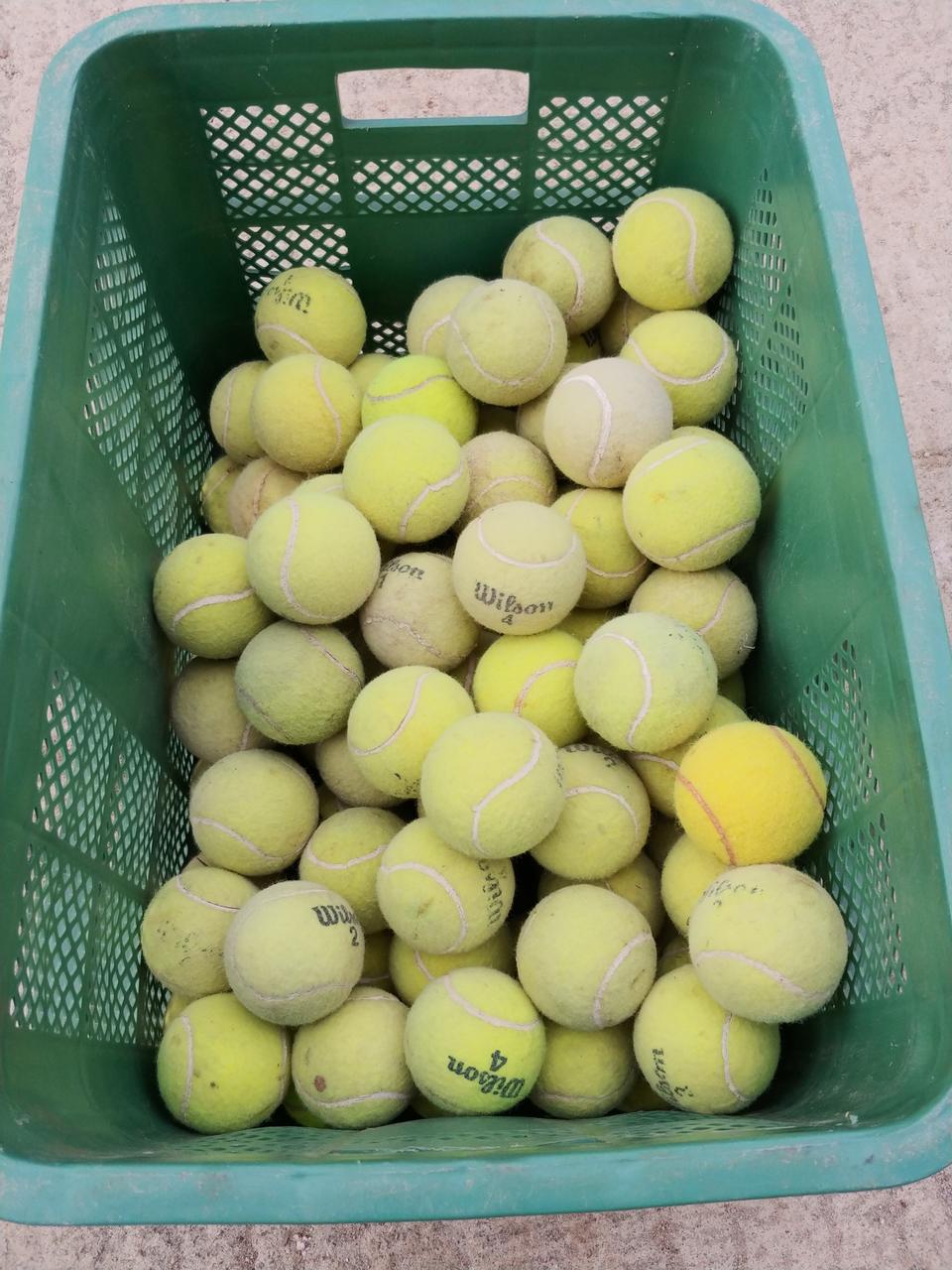 테니스공100개