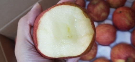 진짜 맛있는 사과 !! 반값에 믿고 가져가세요! 수량이 많이 있지않아요