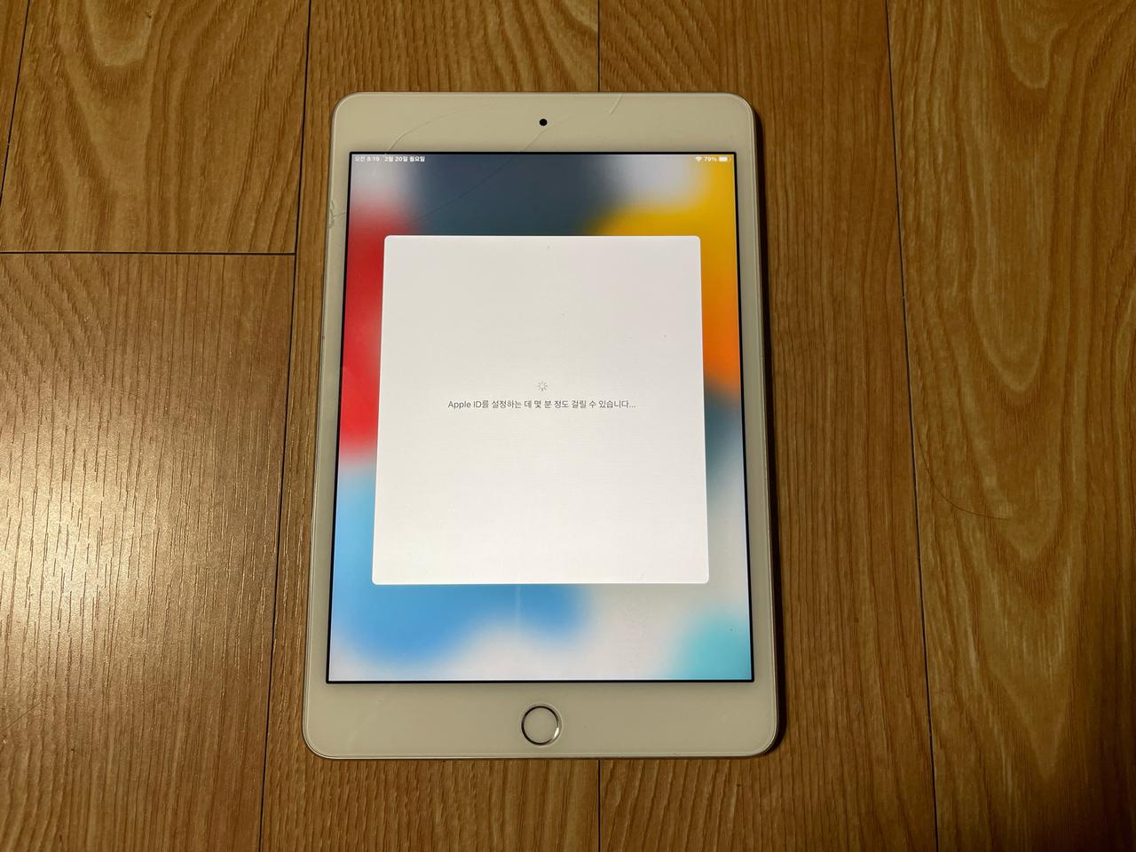 아이패드미니4 와이파이 128기가