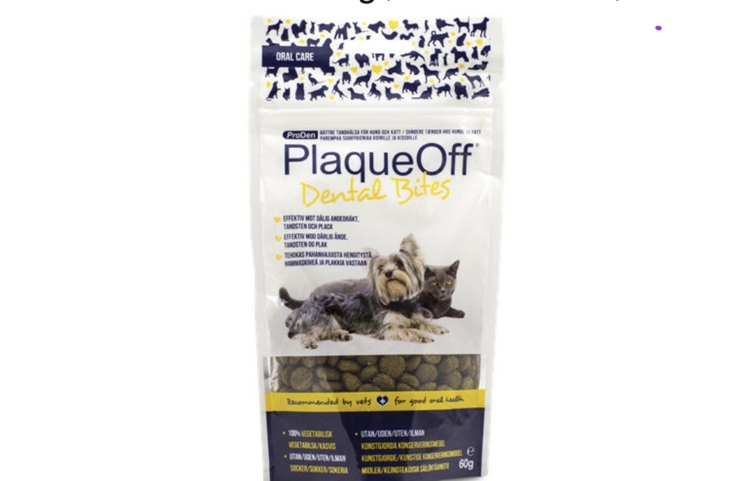 플라그오프 덴탈 바이트 60g  2종