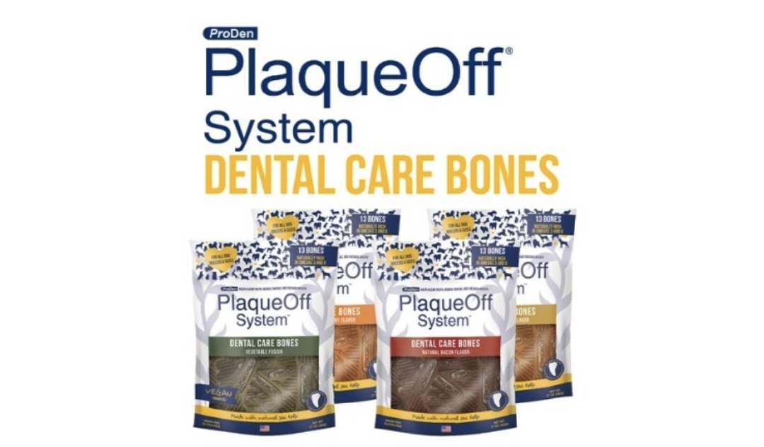 프로덴 덴탈케어본 (482g)3종