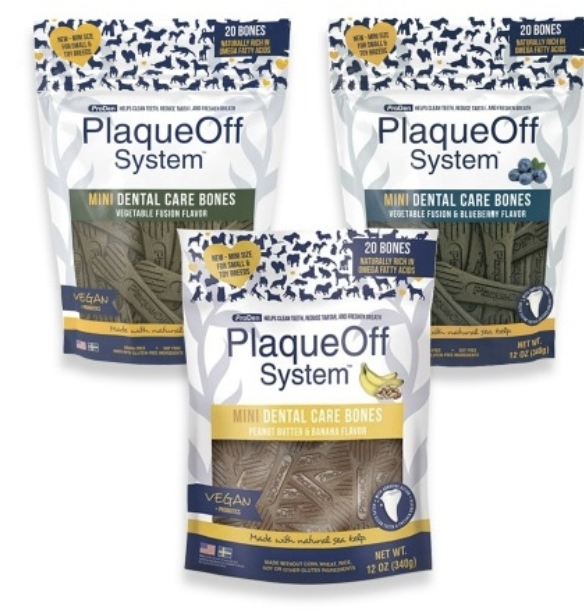 프로덴 미니 덴탈케어본 (340g) 3종