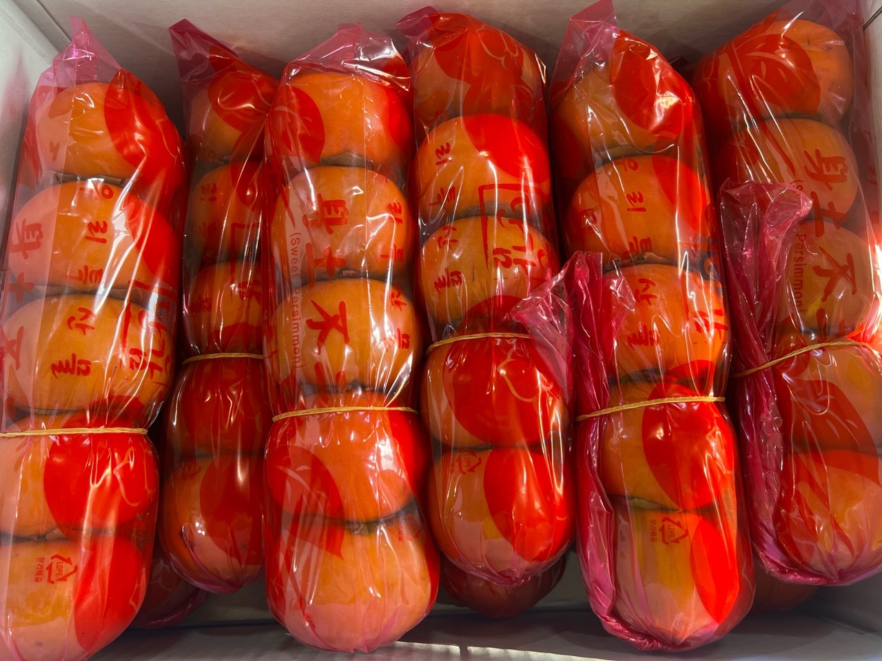 특가 부유단감 5-60과 무료배송