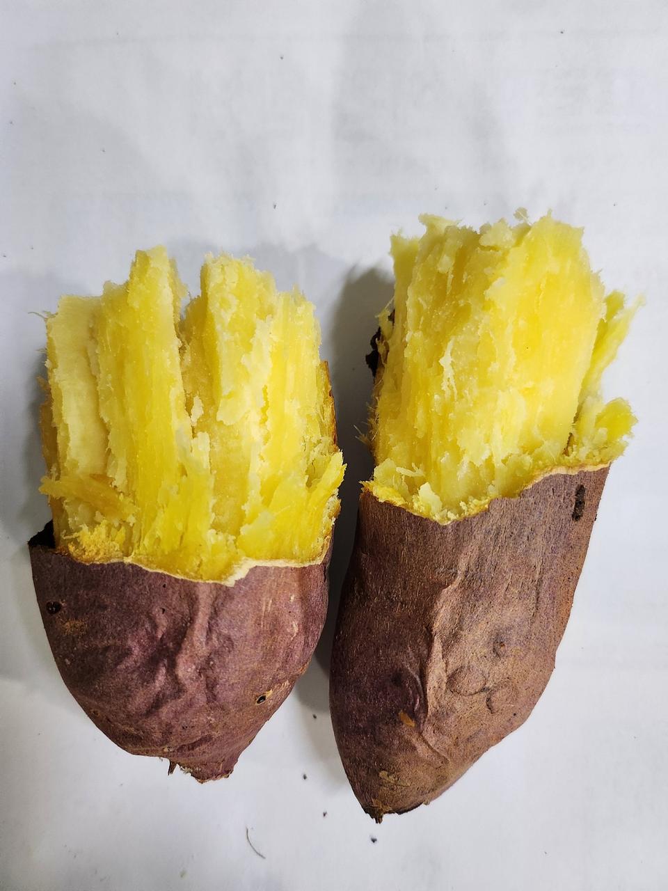 전남 꿀고구마 10kg 특상 무료배송