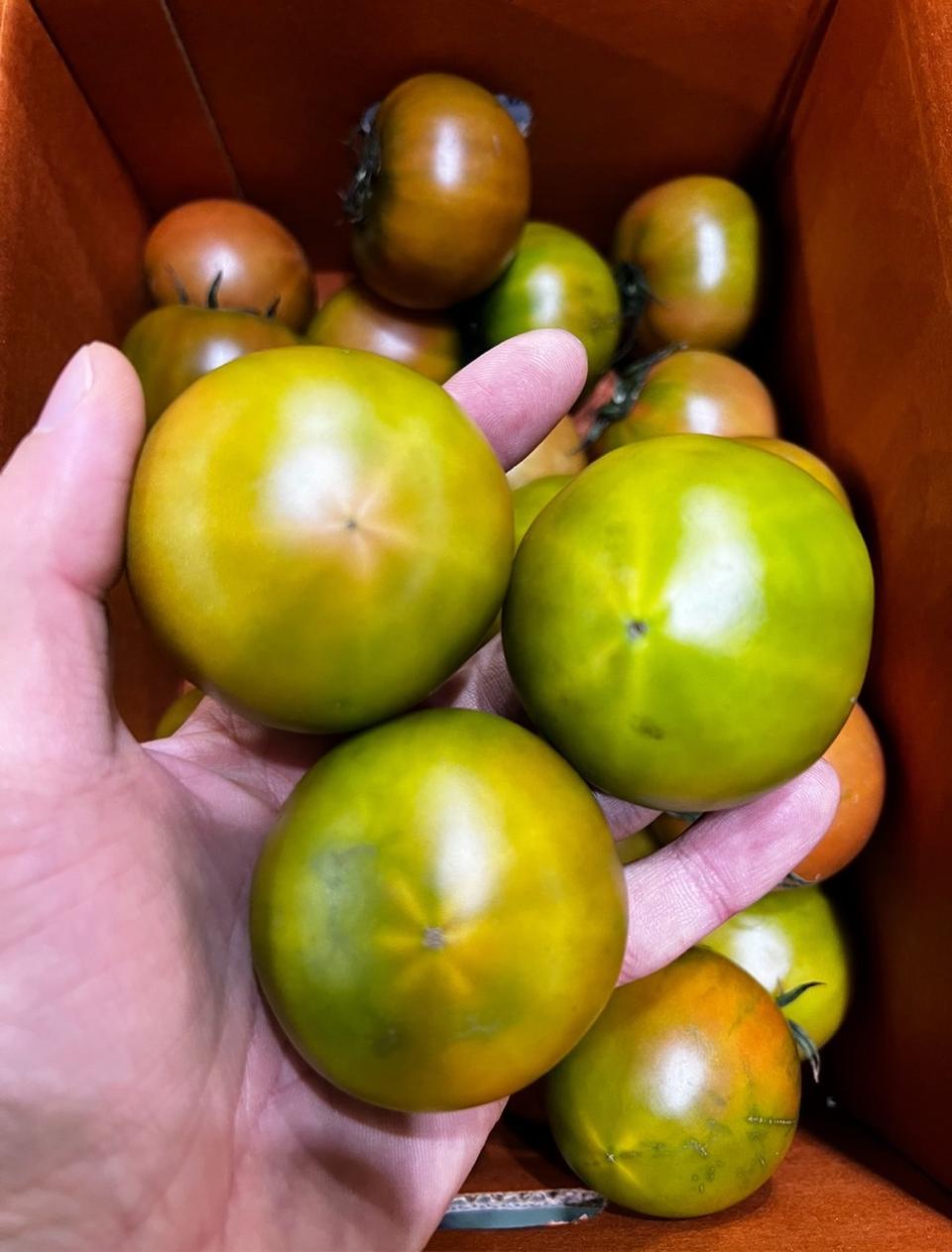 특가 대저짭짤이 토마토 2.5kg 무료배송