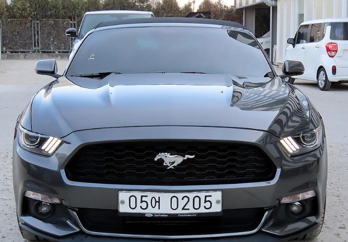 거침없는 야생마의 느낌을 알고싶다면 (포드)머스탱