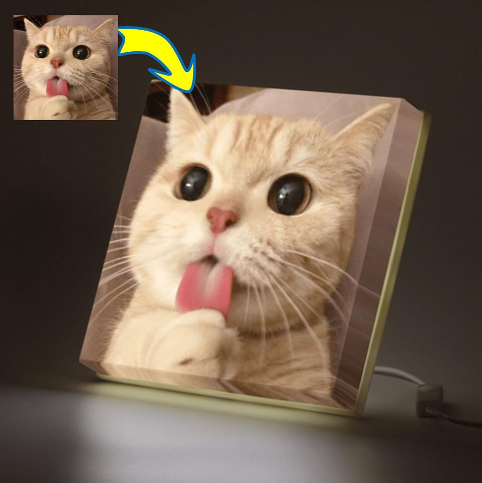 고양이 액자 사진 초상화 조명등 무드등 LED 캔버스
