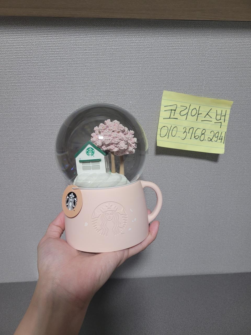 스타벅스 19 체리블라썸 스노우 글로브