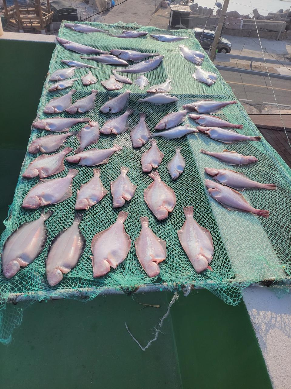 수가잠. 제수용알가자미