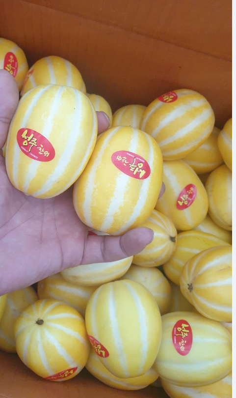 2023 꼬마참외 산지직송 GAP (무료배송)