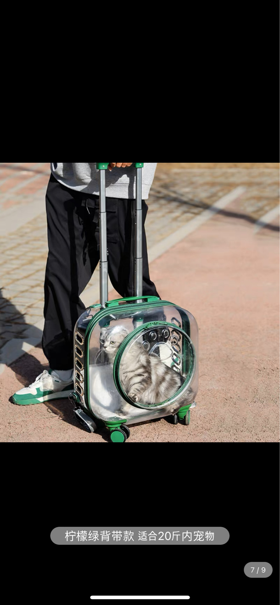 강아지고양이이동장가방캐리어