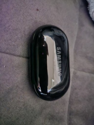 버즈 플러스 충전케이스