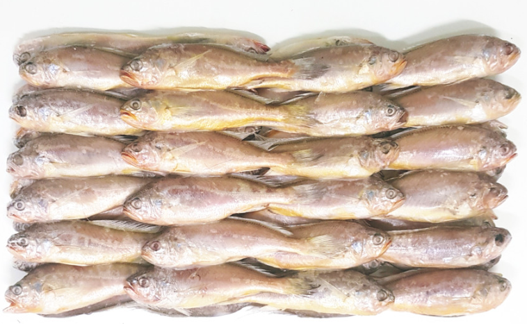 무료배송) 냉동 참조기 3.6kg 50마리,60마리 판매합니다.