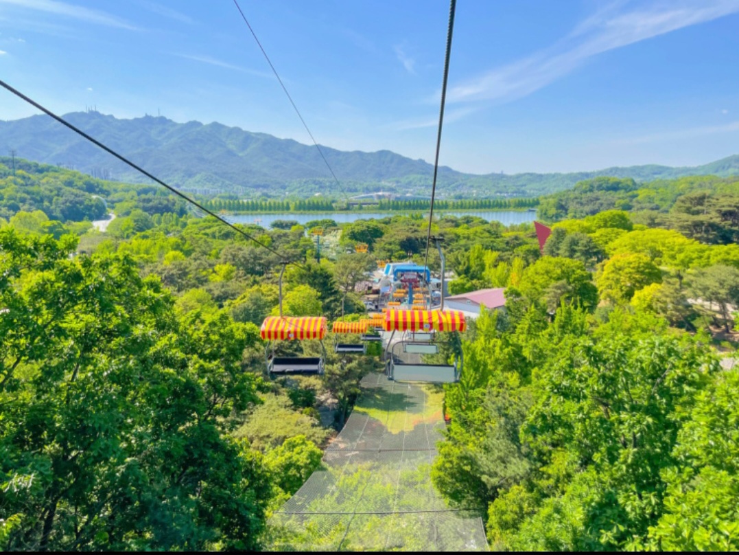 과천 서울랜드 자유이용권 종일권 오후권