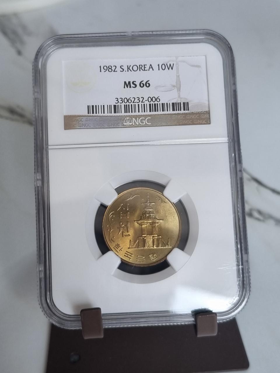 82년 66등급 10주